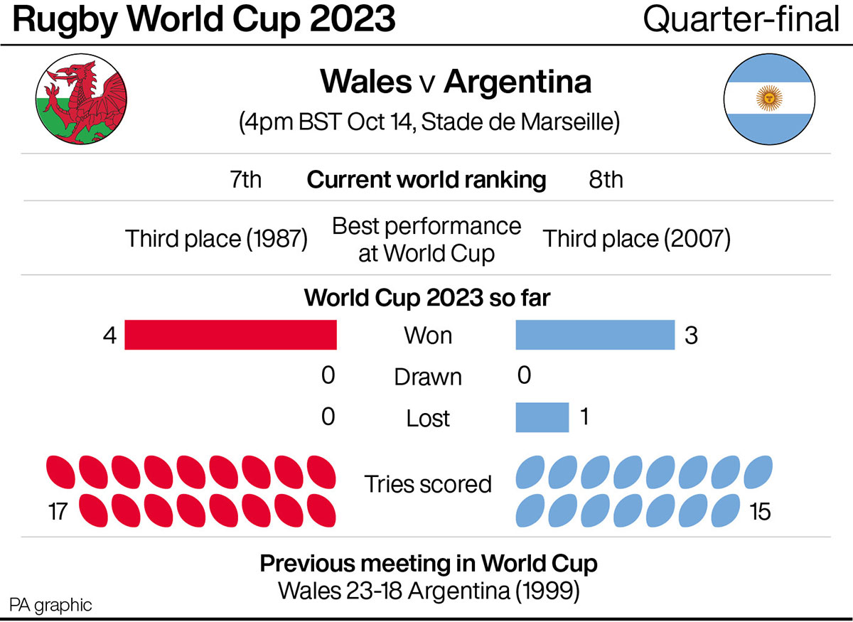 Wales versus Argentina facts and figures