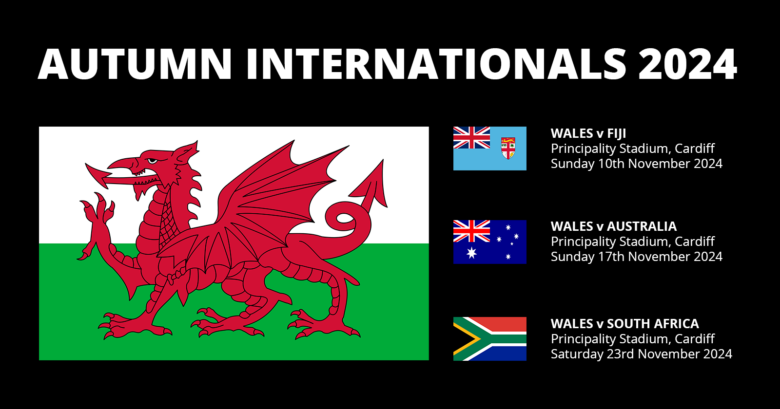 Wales Autumn Internationals 2024 Rugby Fixtures