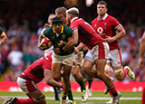 Cheslin Kolbe in action for South Africa against Wales in 2023 summer internationals