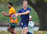 Harry Potter in training with Wallabies during 2024 autumn internationals