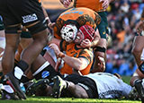 Harry Wilson celebrates his try for Australia v Fiji during 2025 Summer Internationals