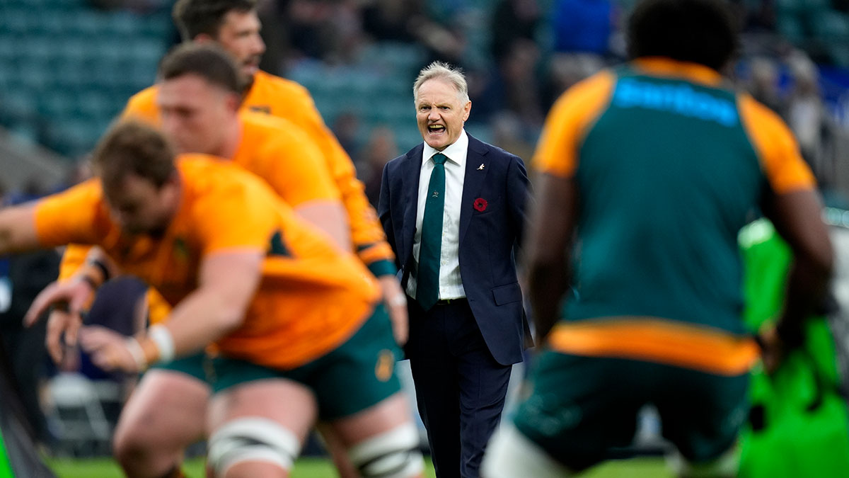 Joe Schmidt coaches his Australia team before England match in 2024 autumn internationals