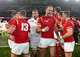 Wales celebrate beating England in 2015 World Cup